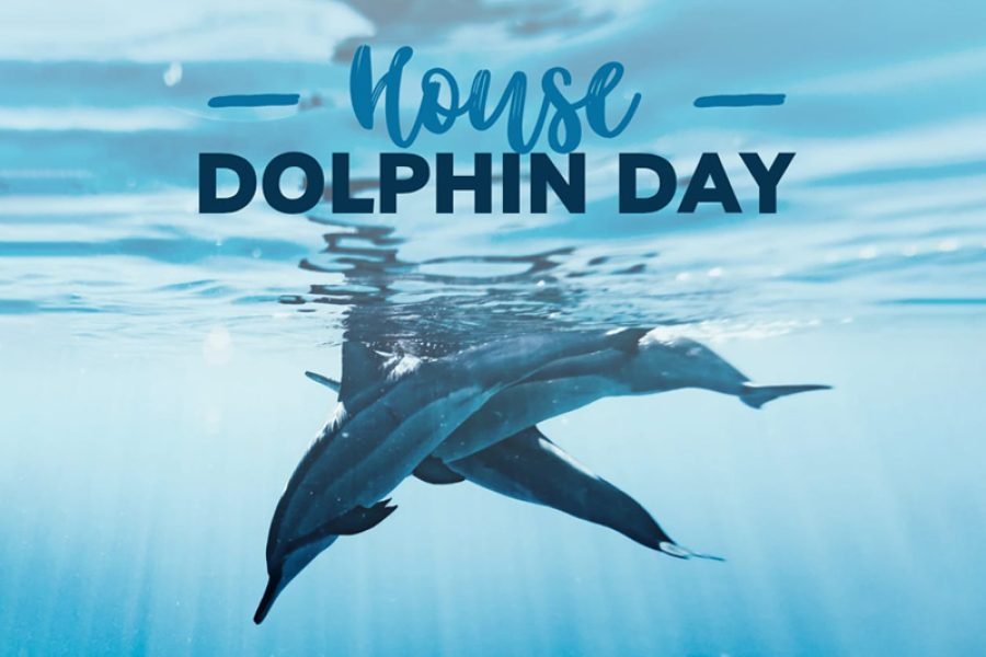 Dolphin House snorkeling trip in Hurghada