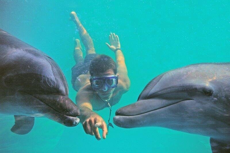 Red Sea Dolphin House Adventure  Hurghada Snorkeling & Dolphin Watching Tour