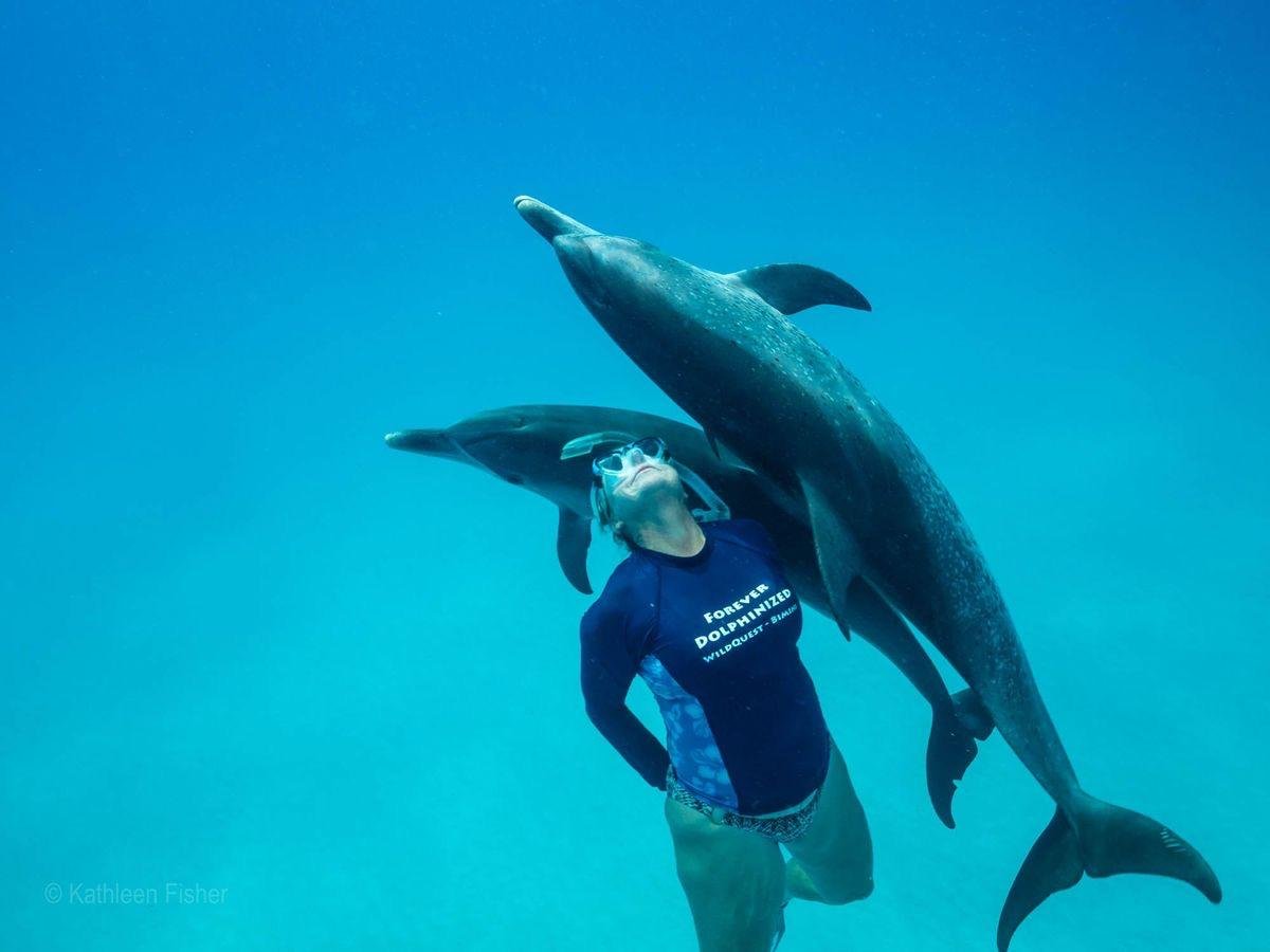 Dolphin House Red Sea Excursion   Snorkel & Swim with Dolphins in Hurghada
