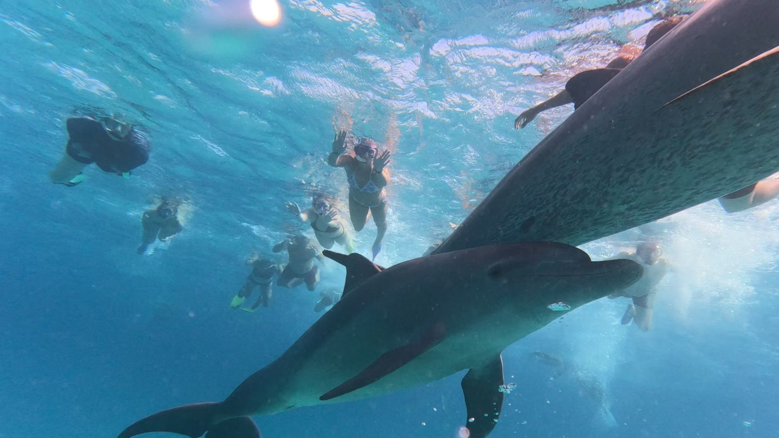 Stop 3 – Premium Snorkeling Spot