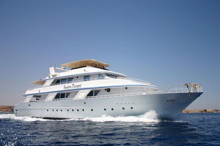 “Dolphin House Adventure   Swim with Dolphins in the Red Sea”