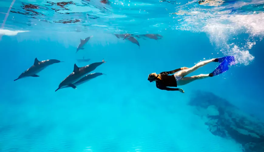 Dolphin House Hurghada